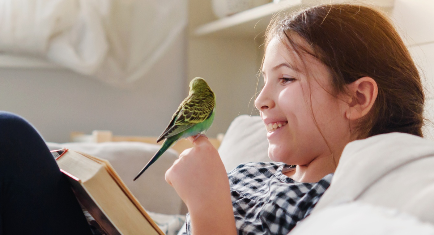 Bird and reptile best sale store