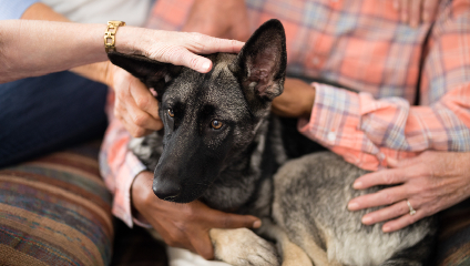Petland Gives Back